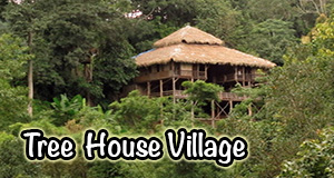 Tree House Village