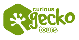 Curious Gecko Chiang Mai tours