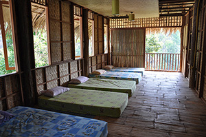Dorm accommodation at Tree House Village